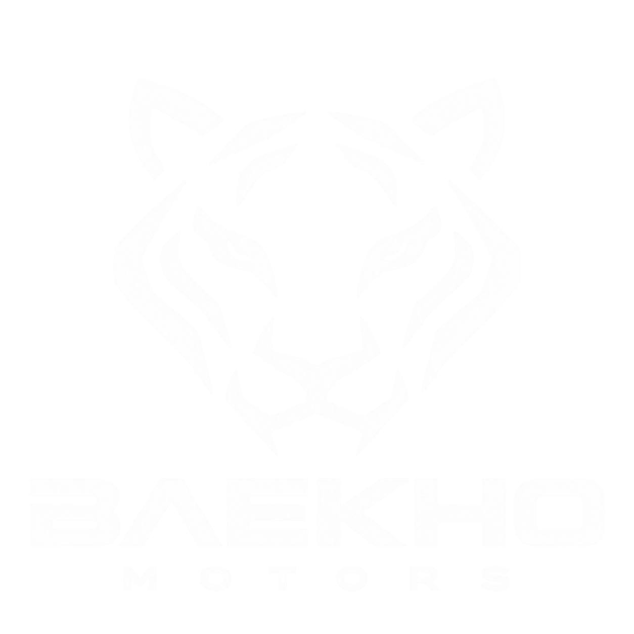Baekho Motors